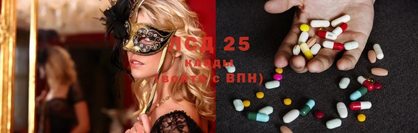 PSILOCYBIN Балахна