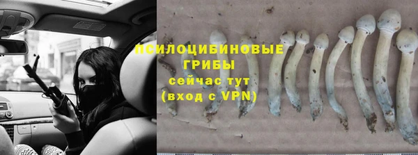 прущая мука Балабаново