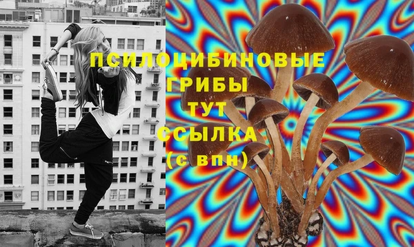 PSILOCYBIN Балахна