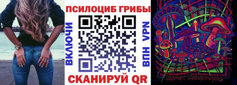 Галлюциногенные грибы Psilocybine cubensis  Нестеровская 